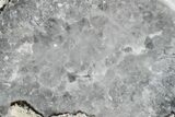 Las Choyas Coconut Geode with Quartz & Agate - Mexico #165384-1